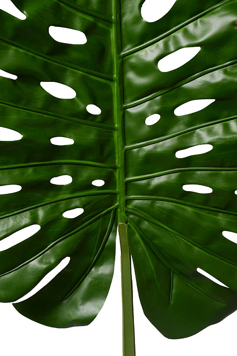 68" Monstera Leaf Stem Green - Image 2