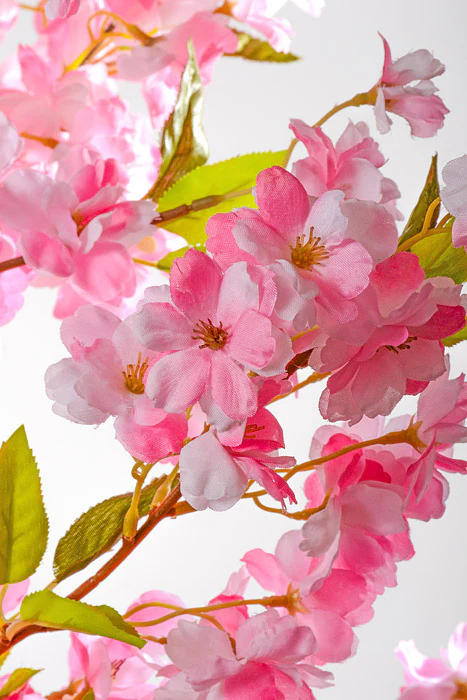 6Ft Artificial Cherry Blossom Tree Pink - Image 2