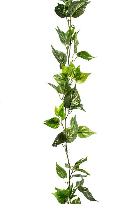 6ft Artificial Potho Garland Green