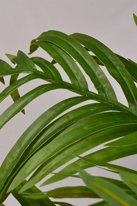 6Ft Artificial Royal Palm In Pot Green - Image 2