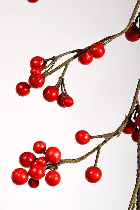 6Ft Berry Garland Red - Image 2