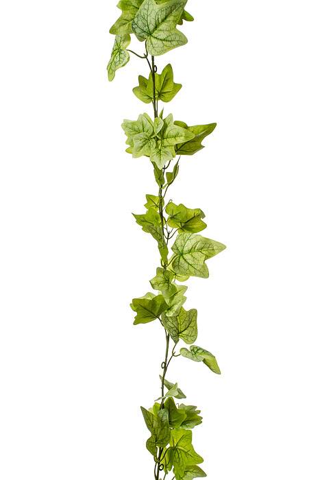 6ft  English Ivy Garland Lt Green