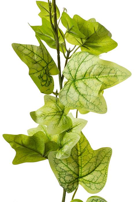 6ft  English Ivy Garland Lt Green - Image 2
