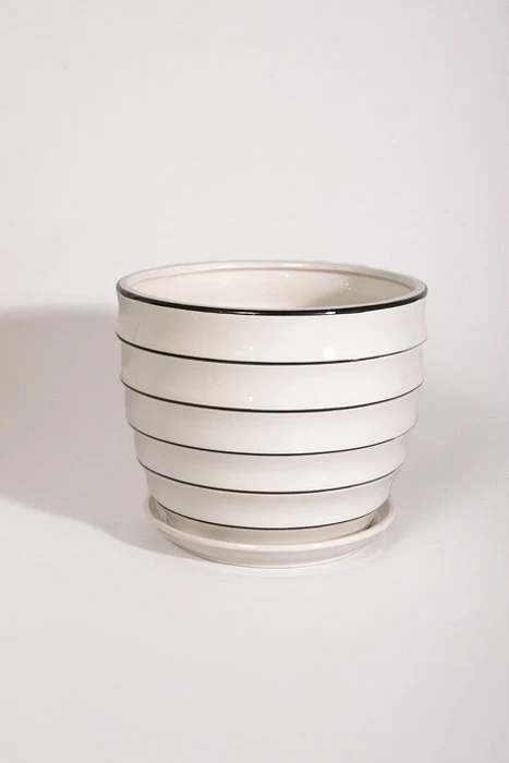 7.25" Large White Ribbed Pot With Saucer White/Black