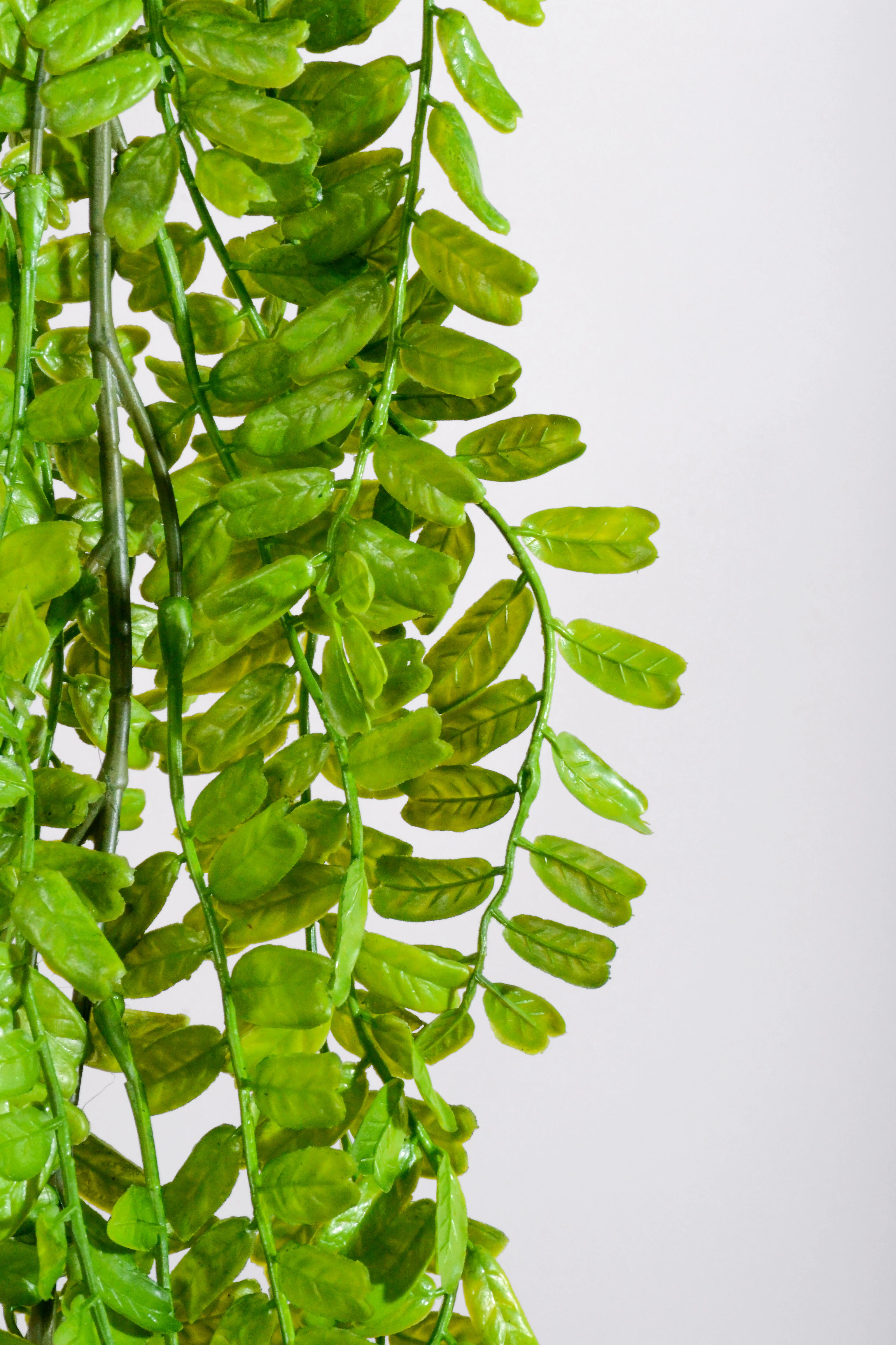7.3Ft Artificial Peperonia Leaf Garland Green - Image 2
