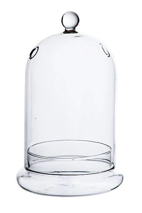 7.5" Glass Dome W/base Clear