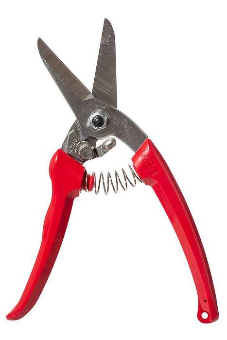 7.5" House & Garden Shear Red - Image 3