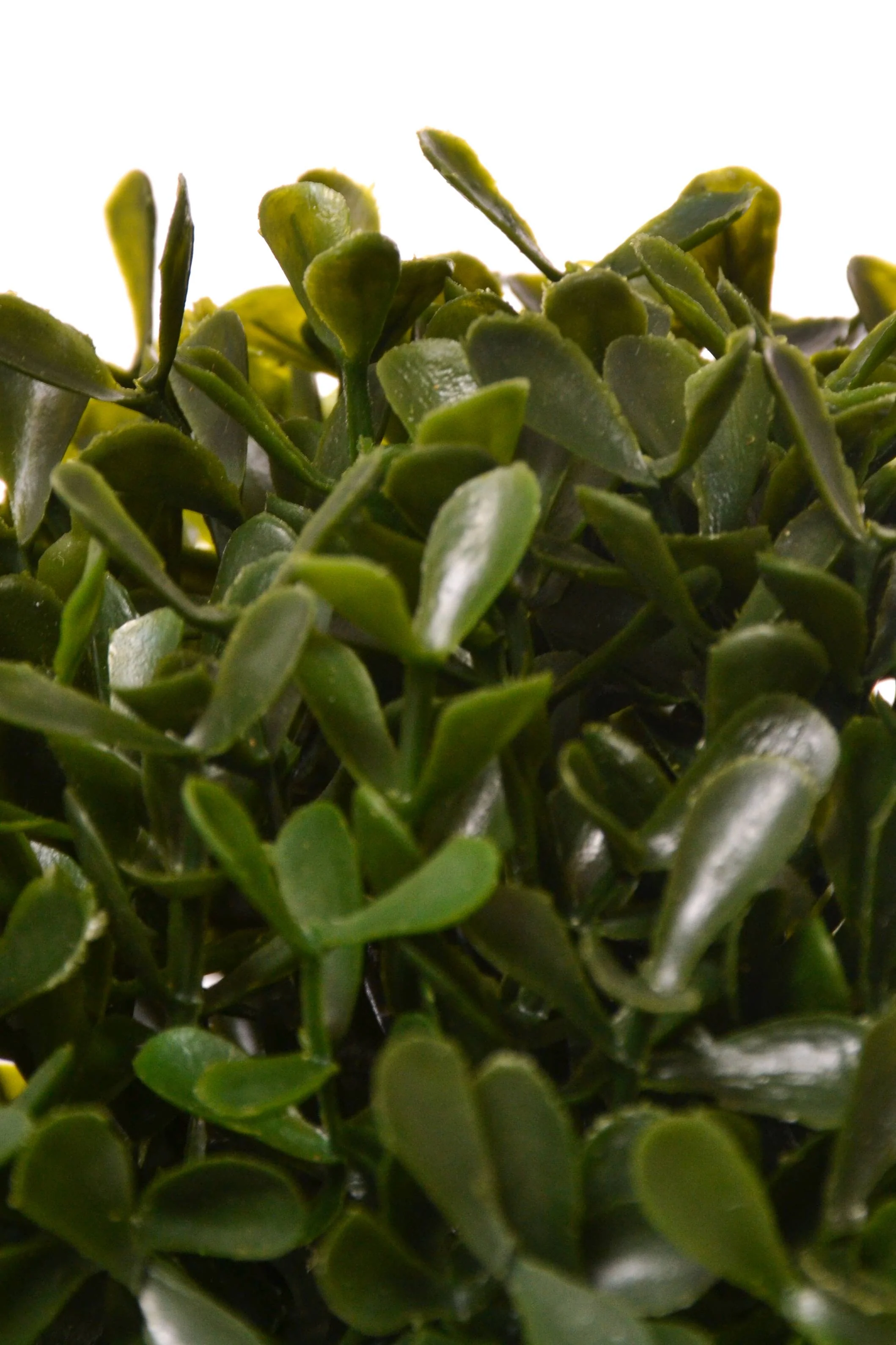 7" Boxwood Ball Green - Image 2