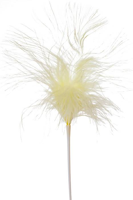 7" Feather Picks Ivory Pkg/12 - Image 2