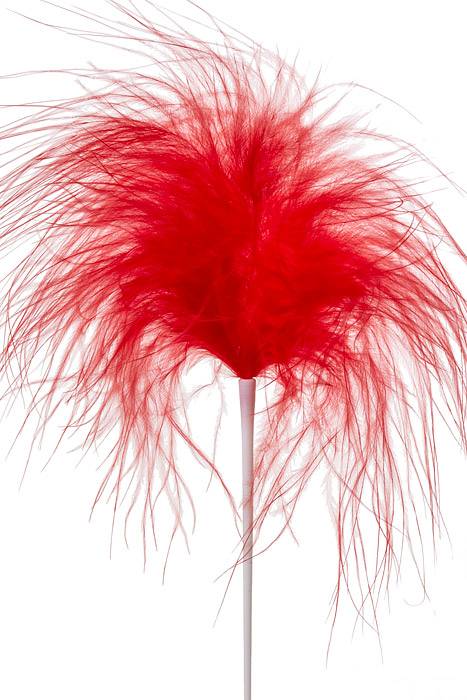 7" Feather Picks Red Pkg/12 - Image 2