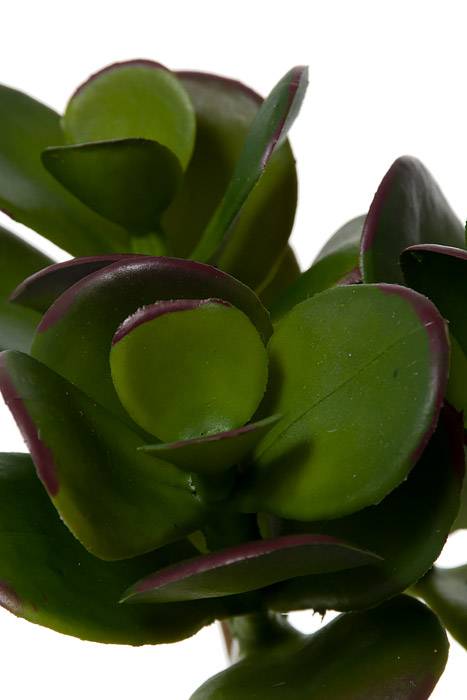 7" Jade Succulent Pick Green - Image 2