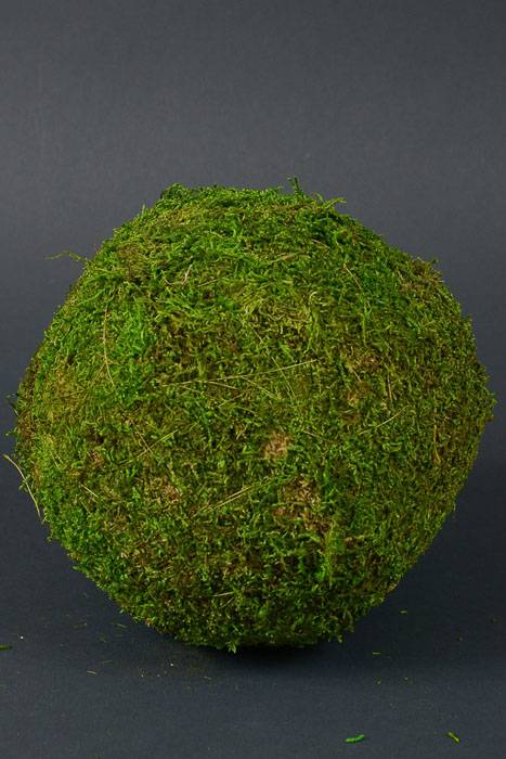 7" Moss Ball Green Sphere
