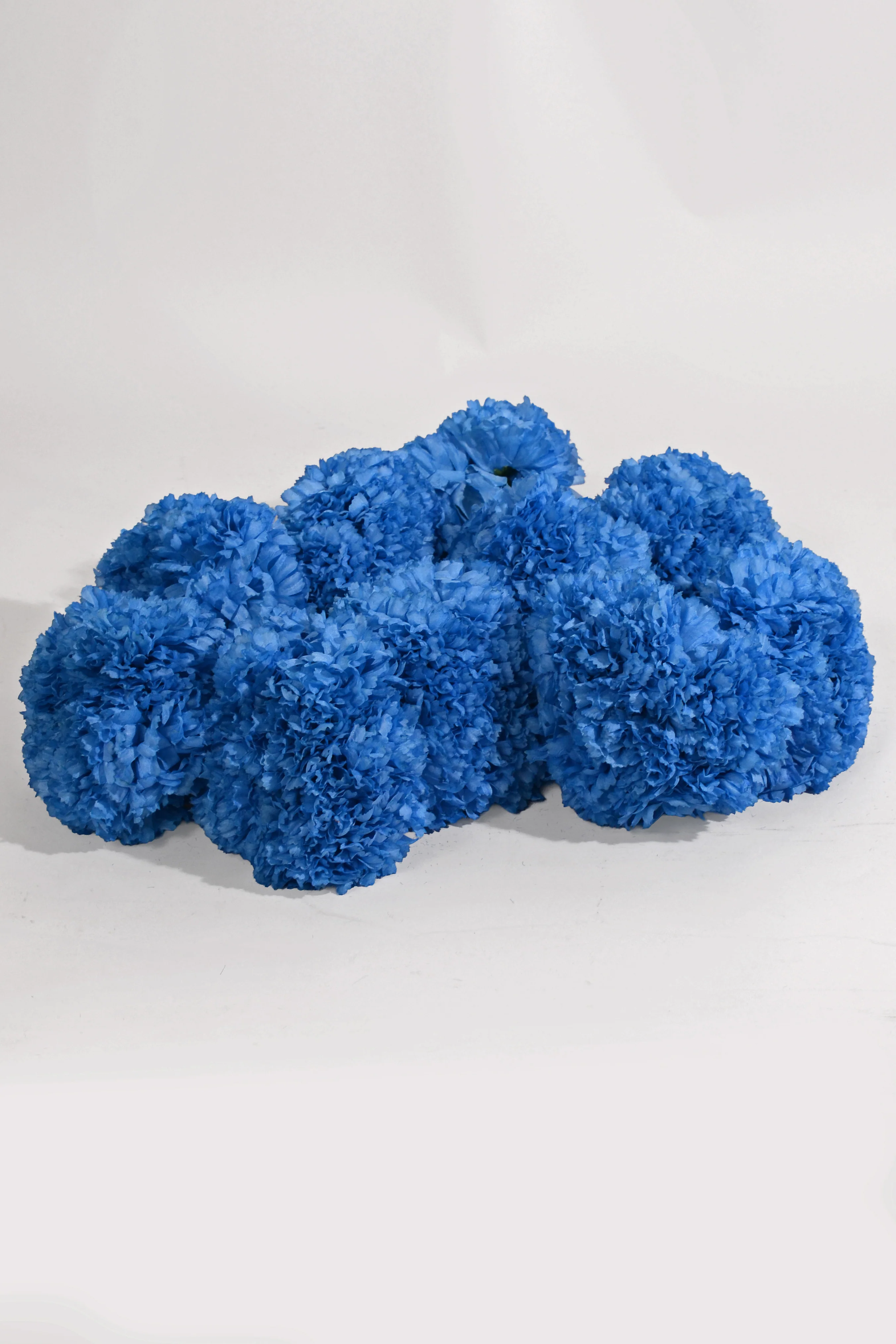 7" Silk Carnation Pick Blue Pkg/100 - Image 3