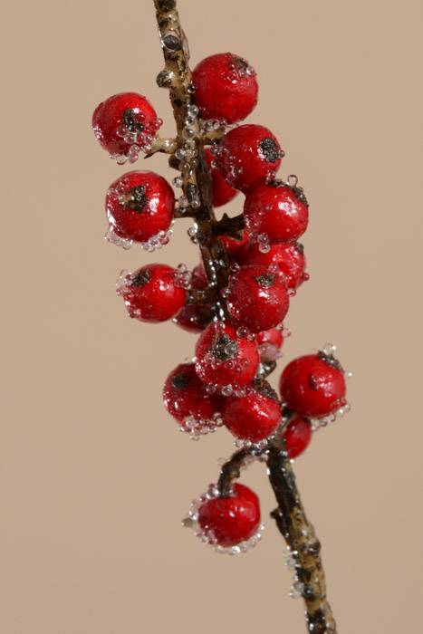 72" Iced Berry Spray Red - Image 2