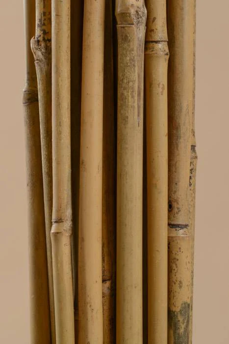 7ft X 3/4" Bamboo Stake Natural Pkg/5