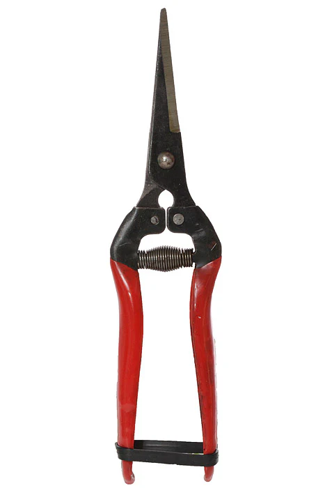 8" Fruit Pruner Red/Black - Image 3