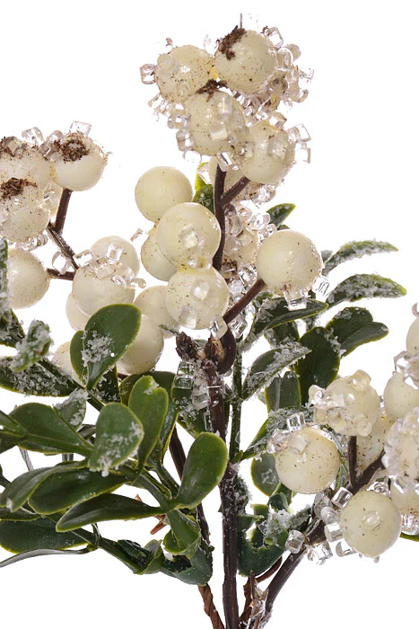8" Iced Berry Boxwood Pick Frosted White - Image 2
