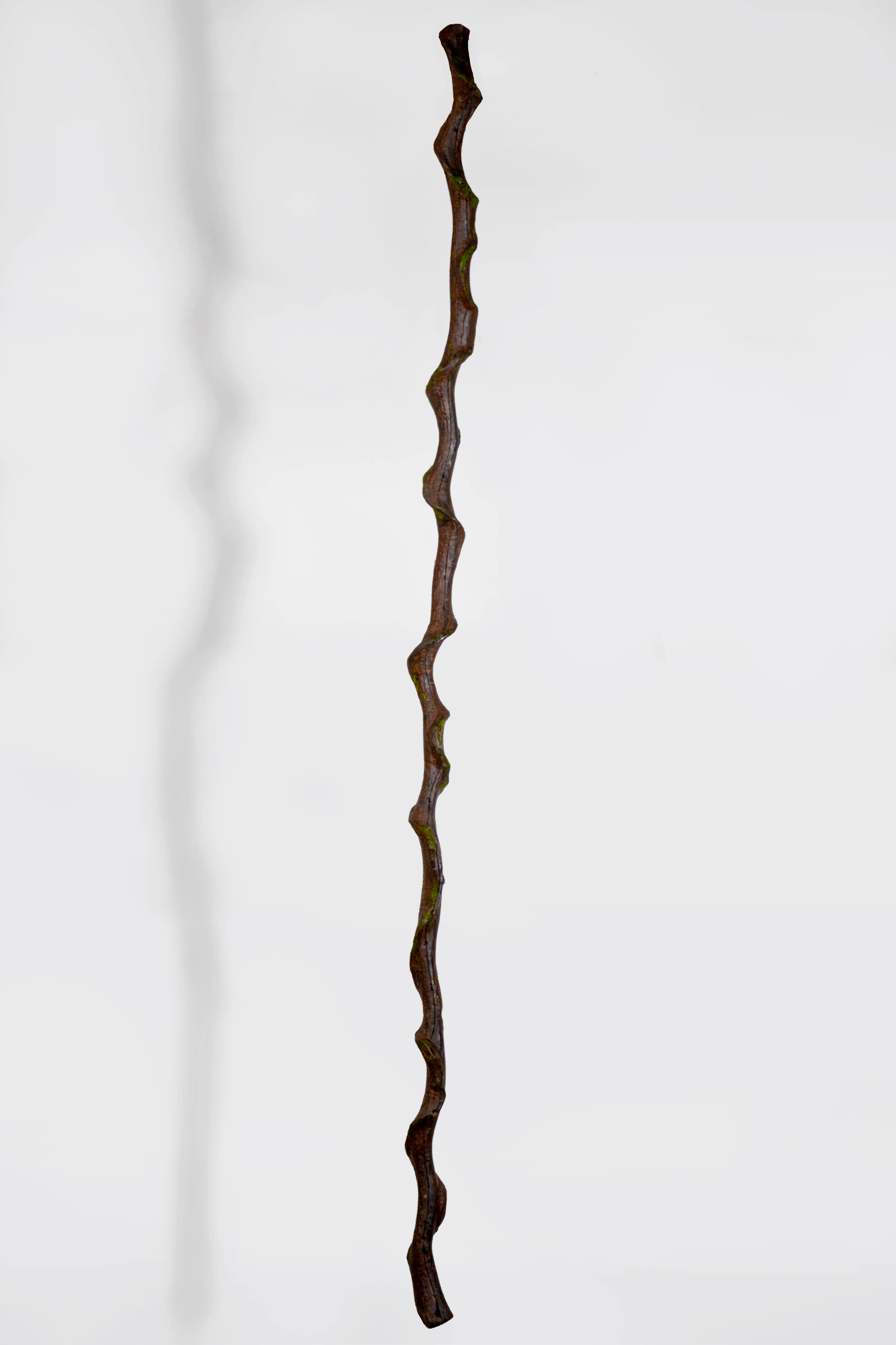 86" Entada Stem W/Moss Brown/Green