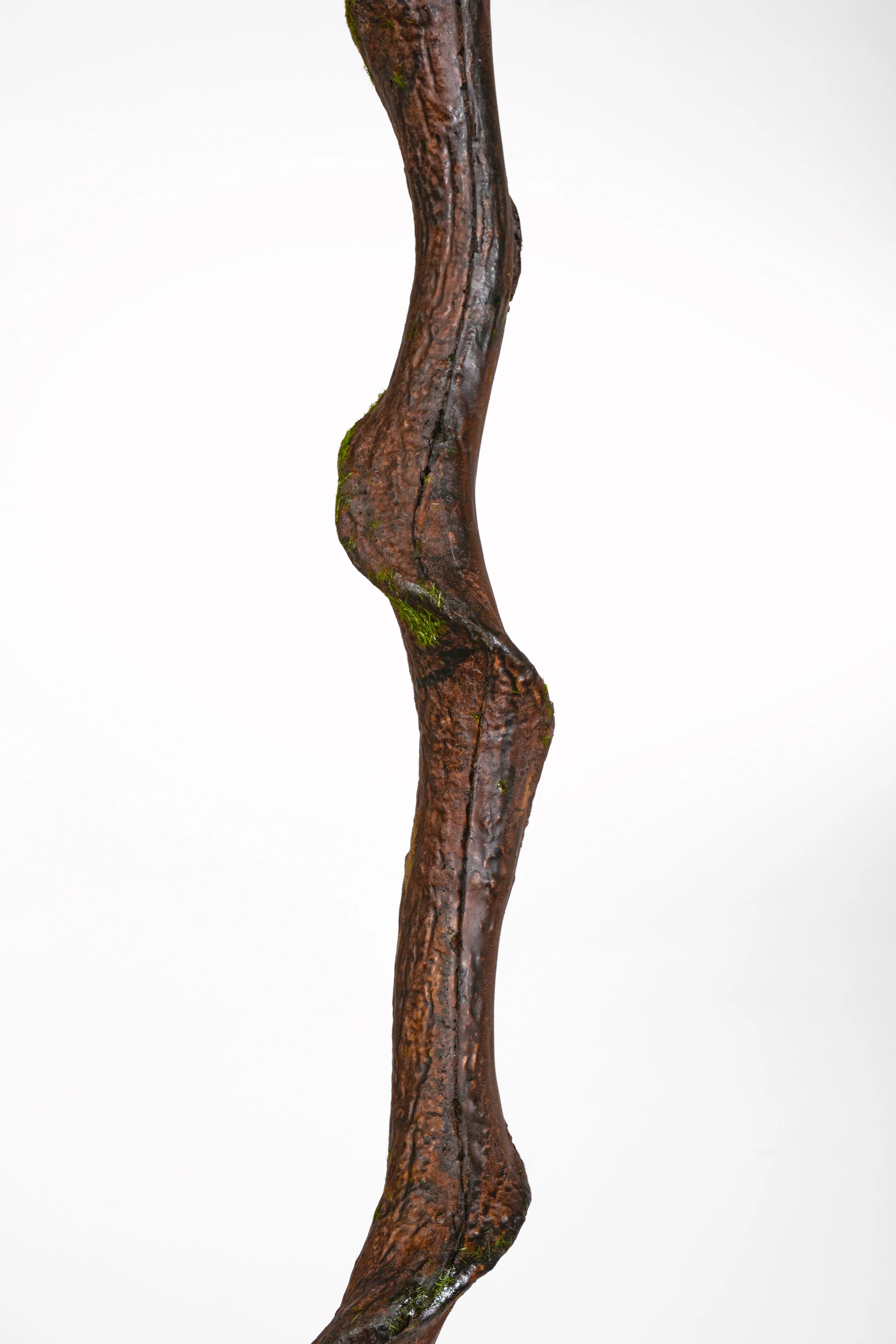 86" Entada Stem W/Moss Brown/Green - Image 2