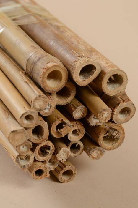 8ft X 3/4" Bamboo Stake Natural Pkg/5 - Image 2