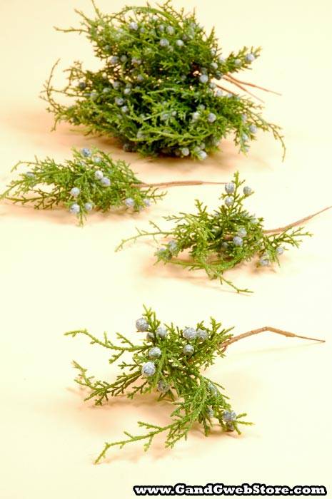 9" Juniper Pick Pkg/12 - Image 2