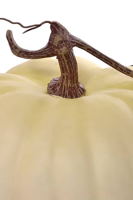 9" X 5" Latex Harvest Pumpkin w/ Vine Cream - Image 2
