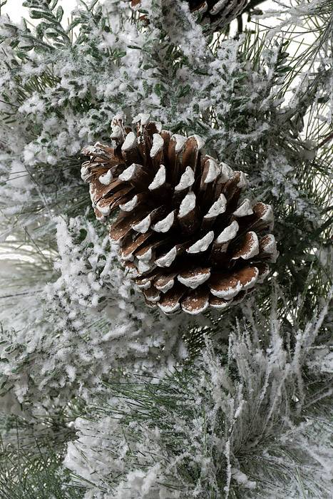 9ft Snow Garland W/pine Cones White - Image 2