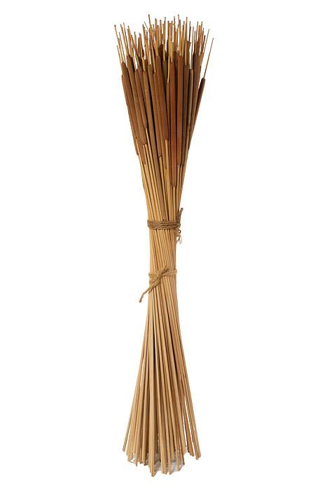 Cattails Pencil Dk. Brown Pkg100 - Image 2