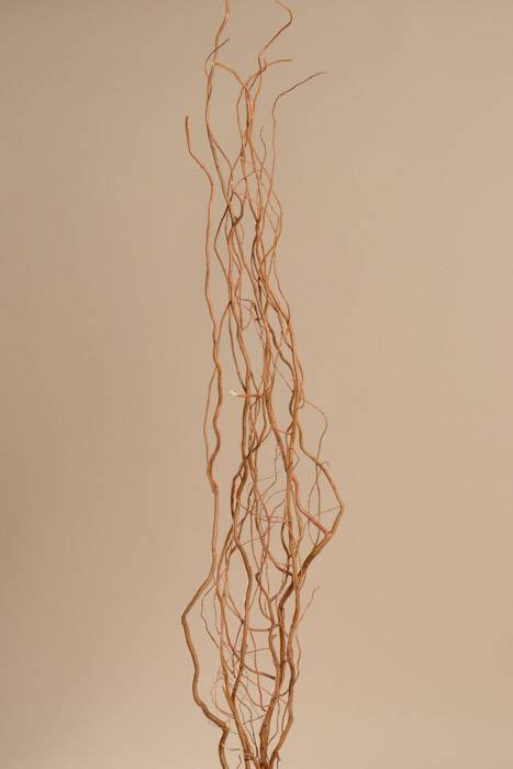 Curly Willow Deluxe Natural Pkg/6 - Image 2