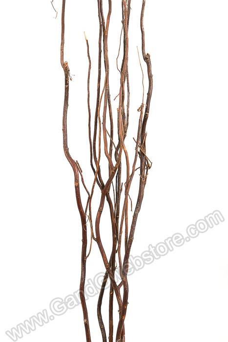 Curly Willow Natural