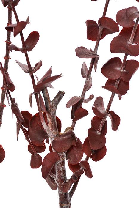 Eucalyptus Baby-Washed Red - Image 3