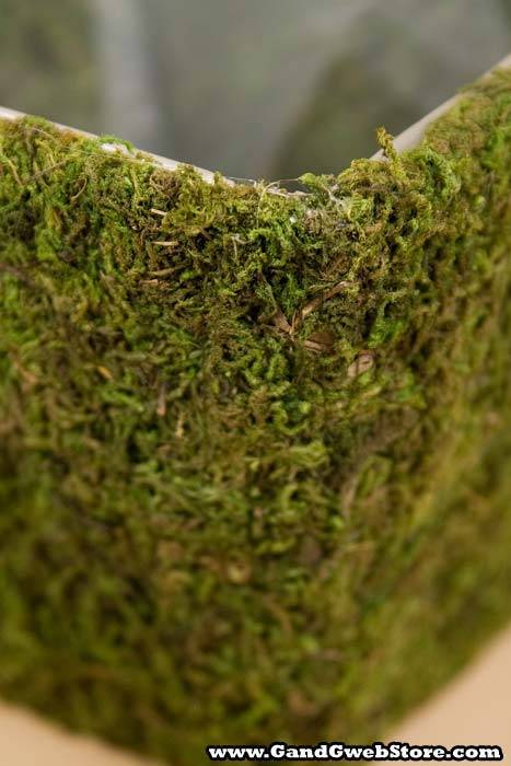 Moss Planter Square Green Set/4 - Image 2