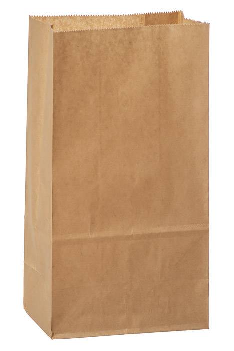Paper Bags Natural Pkg/50 - Image 2