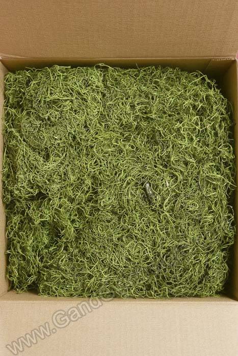 Spanish Moss Green - Image 2
